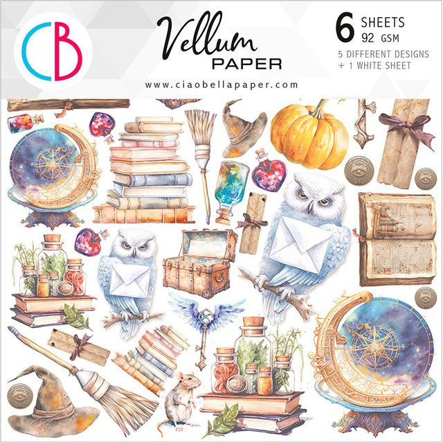 Vellum Paper Wizard Academy Transparent Multicolor Matt - Bild 1