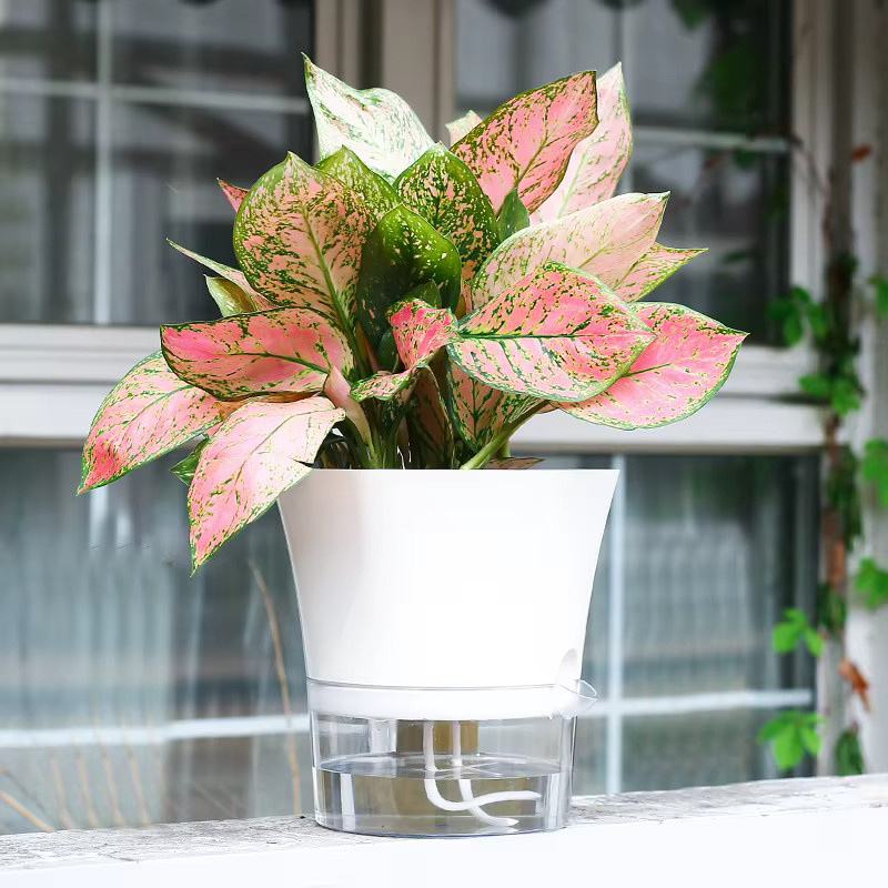 Automatischer Blumentopf aus Kunststoff in Weiß mit transparentem Wasserstandsanzeiger für Sukkulenten und Zimmerpflanzen - Bild 3