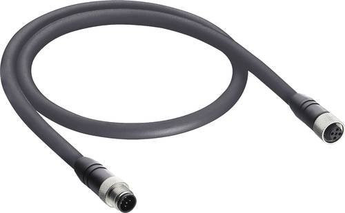 Belden 10966-5 Sensor-Aktor-Datensteckverbinder M12 Stecker gerade auf Buchse gerade, 5 Pol, Schwarz, Länge: 2,00 m - Bild 1
