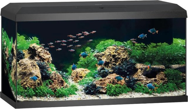 Juwel Aquarium-Set Primo 110 in Schwarz - Bild 1