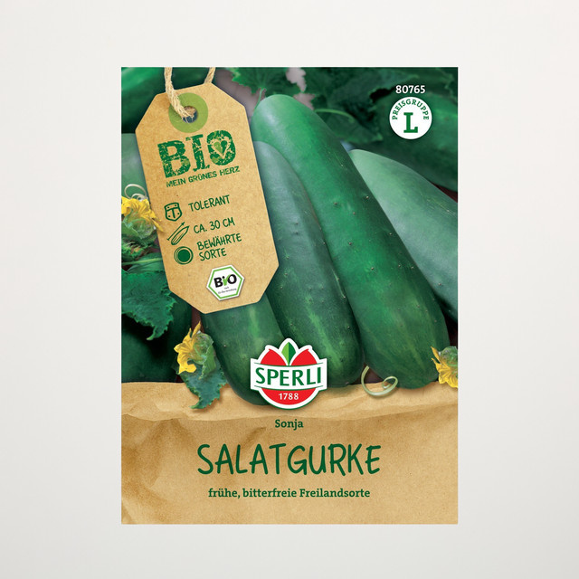 Sperli Salatgurken Samen BIO - Bild 1