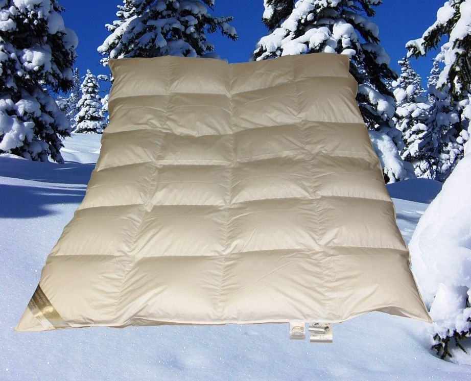 Frankenstolz Winter Daunendecke mit Hochsteg und Kassettenfüllung, 100% Daunen, Farbe: Beige, B x H: 155 x 220 cm - Bild 1