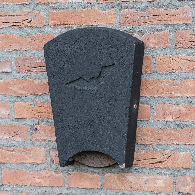 Fledermauskasten Beaumaris Maxi von CJ Wildlife in Schwarz - Bild 1