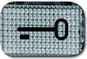 Busch-Jaeger Tastersymbol Schlüssel 2145 in Transparent - Bild 2