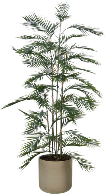 Künstliche Bergpalme von Aplanta, Höhe: 180 cm, Grün - Bild 1