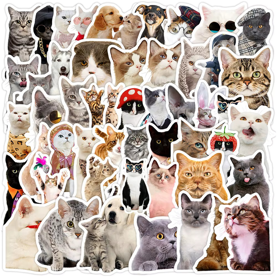 Charile Kawaii süße Katze Meme Aufkleber, Dekoration, multicolor - Bild 1