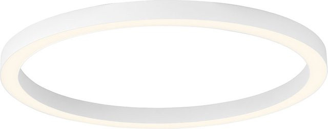 Paul Neuhaus Pure Lines Round LED-Deckenleuchte in White, Durchmesser: 70 cm, dimmbar mit Fernbedienung - Bild 1