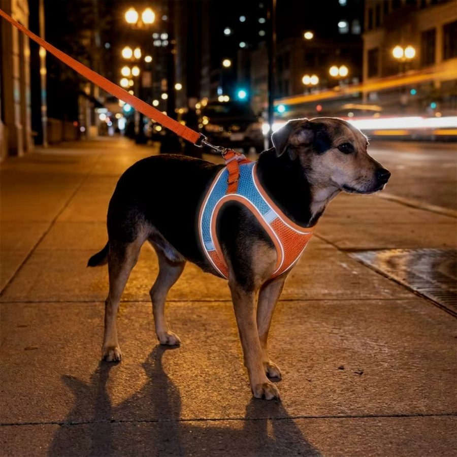 XMSJ Verstellbares Reflektierendes Haustier-Geschirr mit Leine in Multicolour für Hunde und Katzen - Bild 4