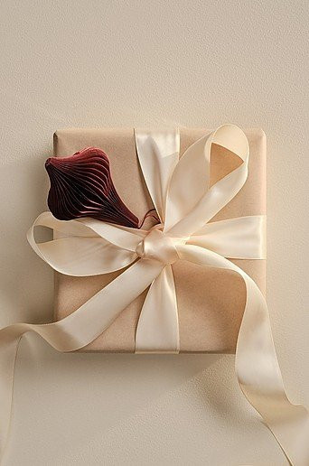 Jotex DOUBLE FACE Band in Beige aus Textil und Papier - Bild 1