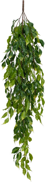 Künstlicher Hänge-Ficus Elia von Aplanta, Höhe: 93 cm - Bild 1