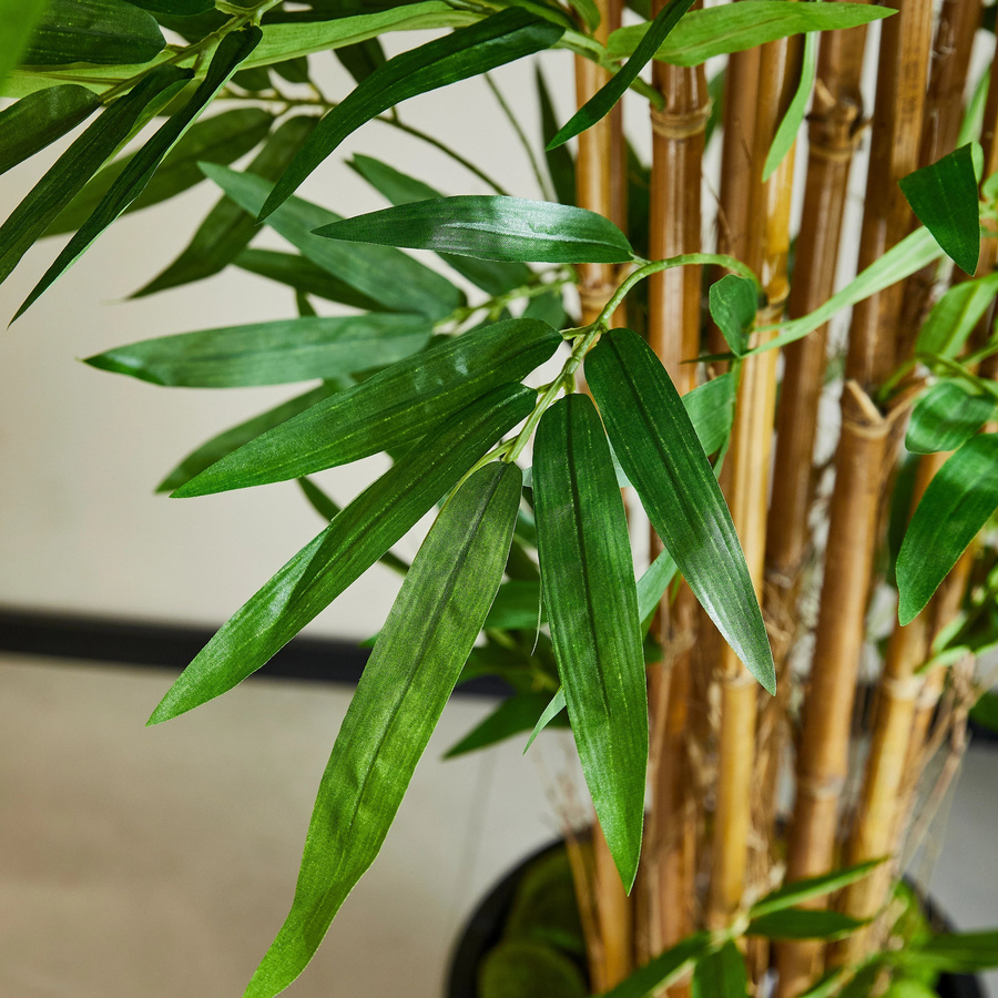 Künstlicher Bambus Baum von artplants in Grün, Höhe: 150 cm - Bild 4