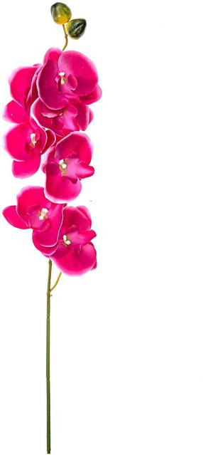 Künstliche Orchidee Phalaenopsis von idee. Creativmarkt in Pink, Höhe: 75 cm - Bild 1