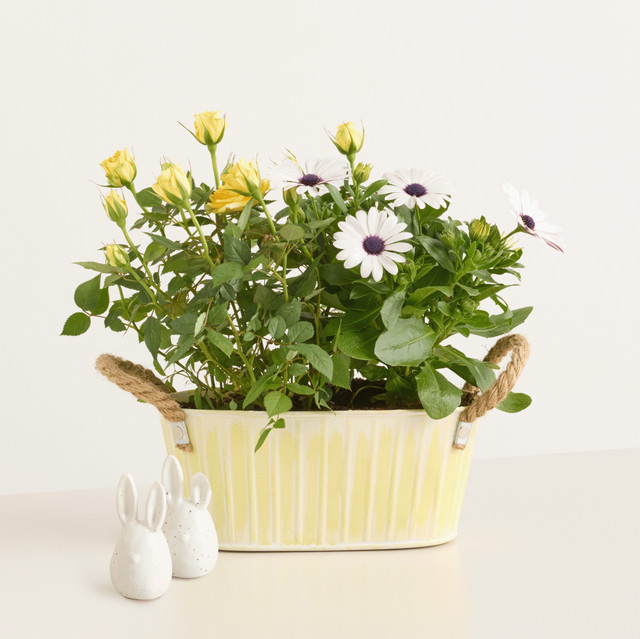 BLUME2000 Frühlingsgarten mit Deko Hasen Duo in Gelb und Weiß für Balkon und Terrasse - Bild 1