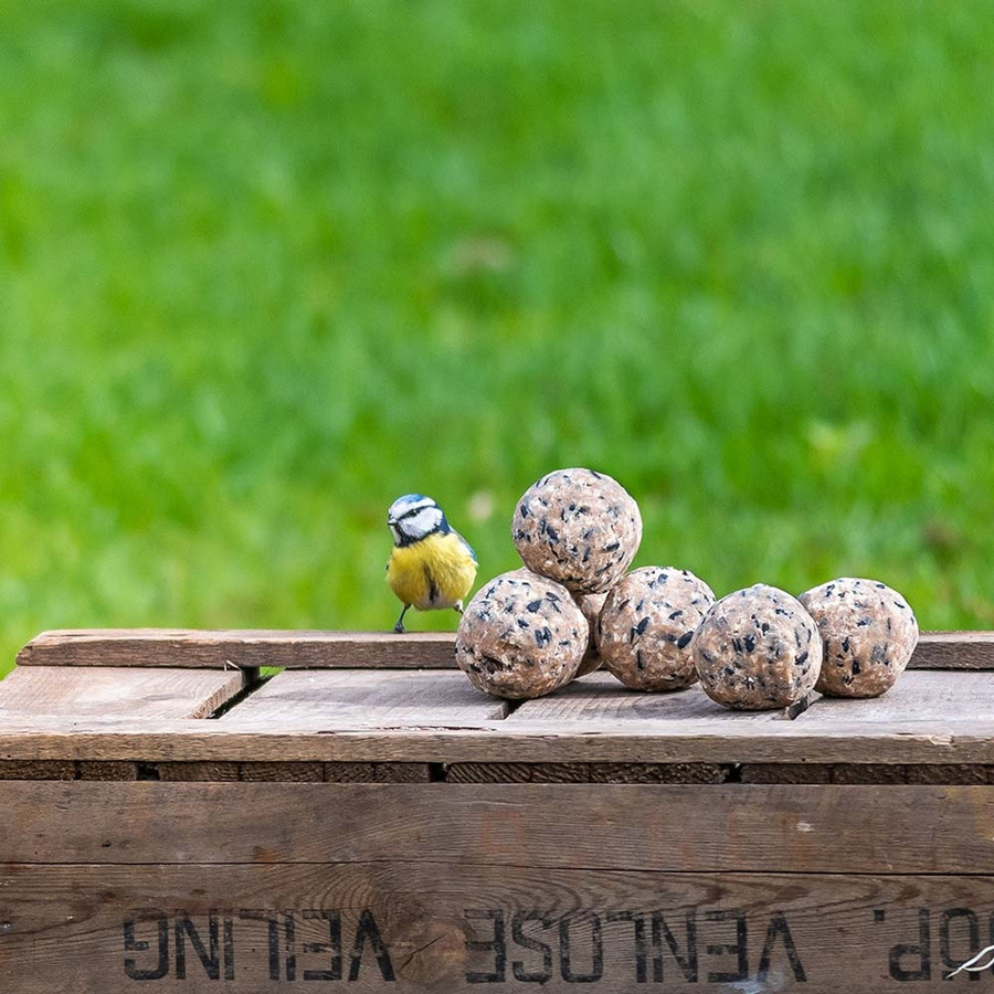 Vivara Kids Meisenknödel 6 Stück - Bild 2