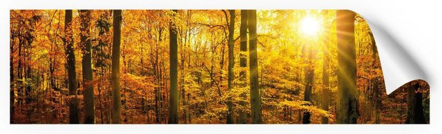 Myspotti Küchenrückwandfolie Herbstwald in Tile-Look, selbstklebend, Multicolor, B: 220 cm, H: 60 cm - Bild 1