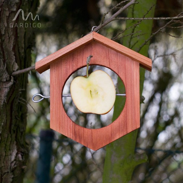 Apfel-Futterstation - Bild 1