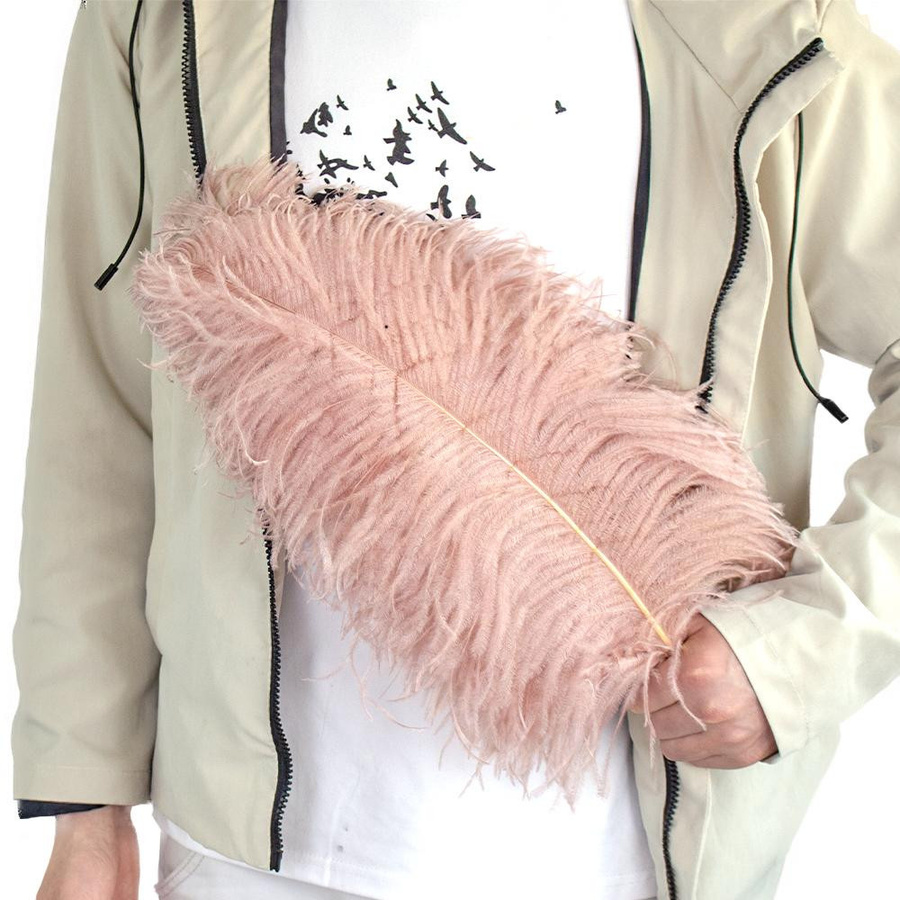 10 Stück gefärbte Straußenfedern von XQ We Wantice in Weiß und Pink für Bastelarbeiten und Hochzeitsdekoration, Länge: 45 cm - Bild 1
