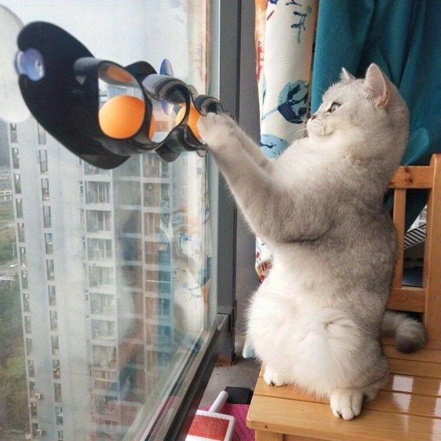 SZwatch Katzenspielzeug, interaktives Katzen- und Hunde-Saugballspielzeug, gray - Bild 1