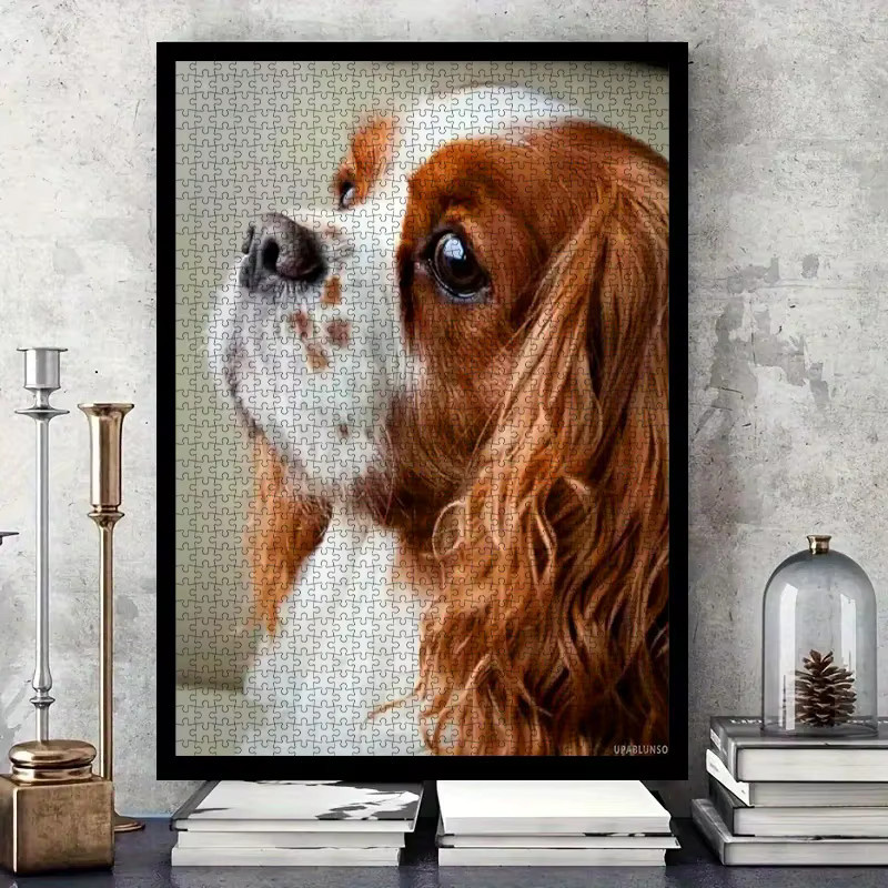 AZNM Cavalier King Charles Spaniel, Papierpuzzle, 1.000 Teile - Bild 2