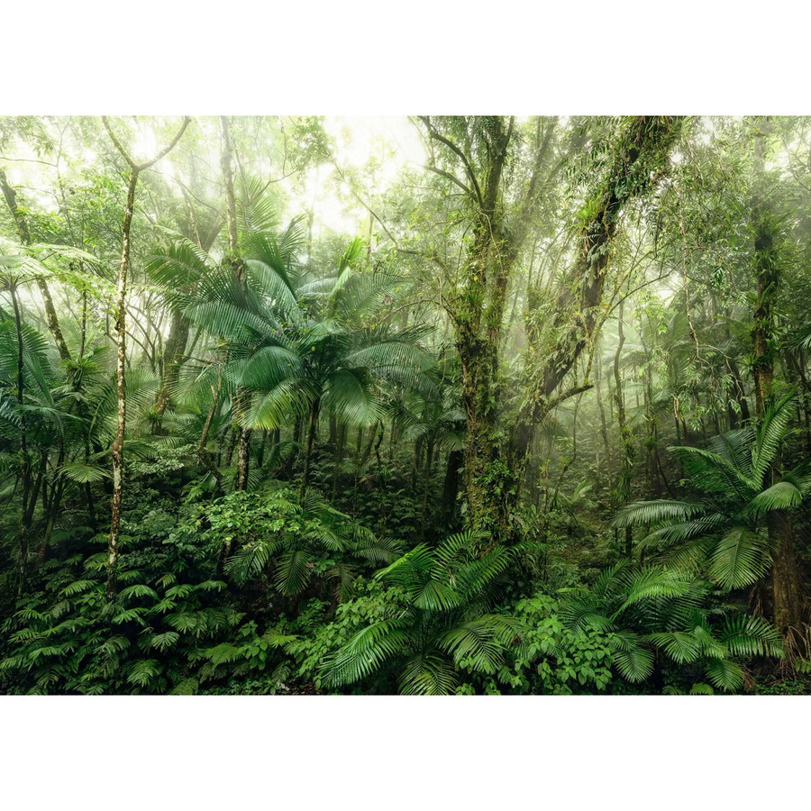 Komar Vliesfototapete Mindfulness B: 350 cm, H: 250 cm - Bild 2