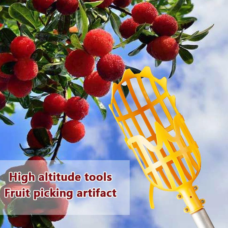 Obstpflücker mit Korb aus Kunststoff und Edelstahl für Wollmispel und rote Beeren - Bild 5