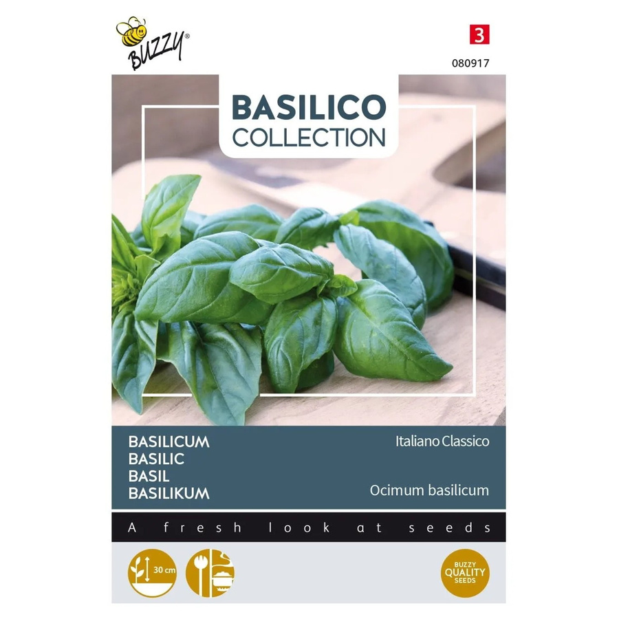 Buzzy Basilikum Italiano Classico Saatgut mit klassischem Geschmack, 1,5 g - Bild 2