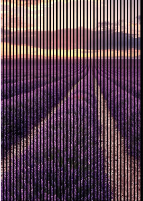 FN Acustico Akustikplatte Lavendel aus PET und MDF in modernem Design, H x B x T: 2.400 x 1.693 x 19,0 mm - Bild 1