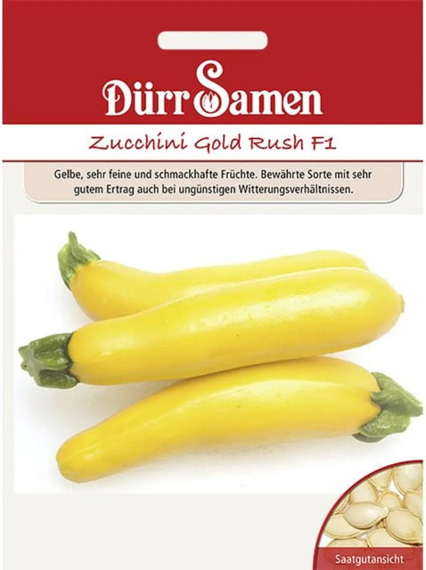 Dürr Zucchini Gold Rush F1 Saatgut - Bild 1