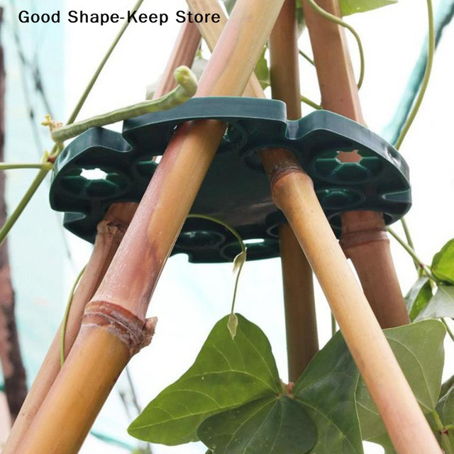 dailyGarden Rankgitter-Kunststoffverbinder in Grün für Pflanzenstützen und Bambusstäbe - Bild 1