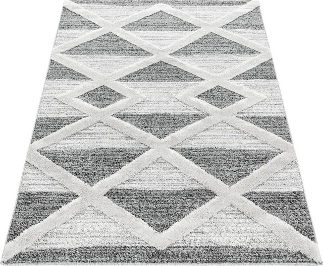 Ayyildiz Hochflorteppich Pisa in Grau im skandinavischen Stil, B/L: 240 x 340 cm - Bild 1