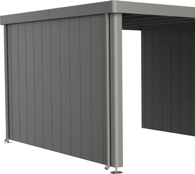 Biohort Seitenwand für Seitendach Gerätehaus Neo, Quarzgrau-Metallic, Stahlblech, B/H: 3150 x 43 mm - Bild 1