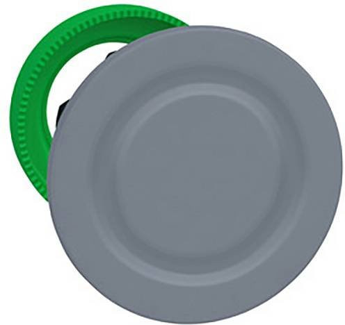 Schneider Electric ZB5FSZ3C0 Blindverschluss in Grau aus Kunststoff für bündigen Einbau - Bild 1