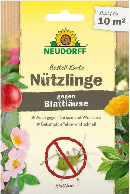 Neudorff Nützlinge gegen Blattläuse biologische Schädlingsbekämpfung für 10 m² - Bild 1
