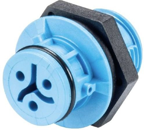 Wieland Electric 4L.031.4043.9 Geräteanschluss - Bild 1