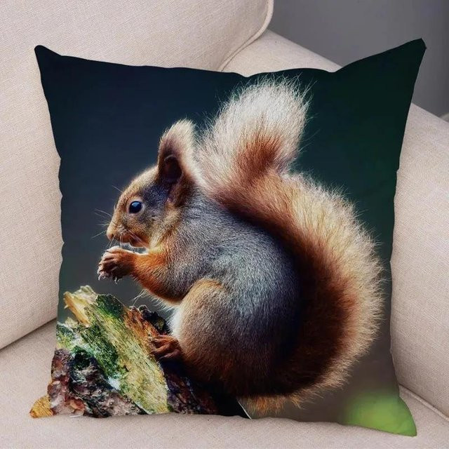 Superweicher Kissenbezug mit Eichhörnchen-Motiv von GUOYU HOMEDECOR, Mehrfarbig, B/B: 45,72 x 45,72 cm - Bild 1