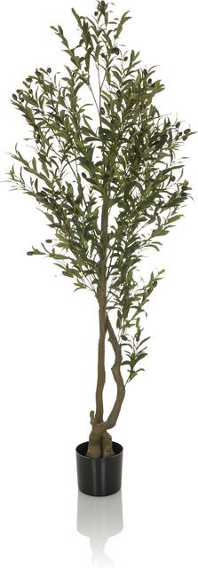 hjh OFFICE Kunstpflanze OLIVE mediterraner Baum aus Kunststoff in Grün und Silber - Bild 1