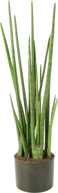 Künstliche Sansevieria Pia von Aplanta in Grün, Höhe: 99 cm - Bild 1