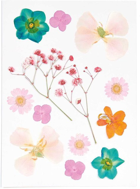 Rico Design Mix Set gepresste Blüten in Orange und Türkis aus Naturmaterialien - Bild 1