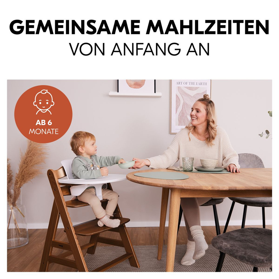 Hauck Alpha Plus Sparset 3-teilig Hochstuhl mit Baby Seat und Essbrett in Walnut - Bild 2