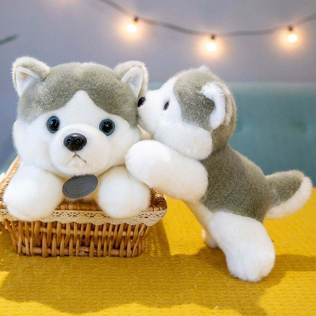 Binchi Fitness Liegender Husky Plüschtier, 35cm, ab 14 Jahren - Bild 1