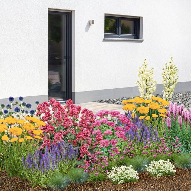 Staudenbeet Robuster Trockenkünstler mit 24 bunten Pflanzen für deinen Garten - Bild 1