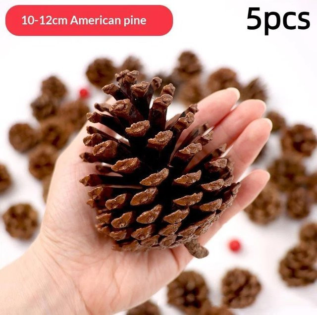 Natürliche getrocknete Kiefernzapfen in Braun von Beauty Whp für Weihnachtsdekoration und DIY-Bastelprojekte - Bild 1
