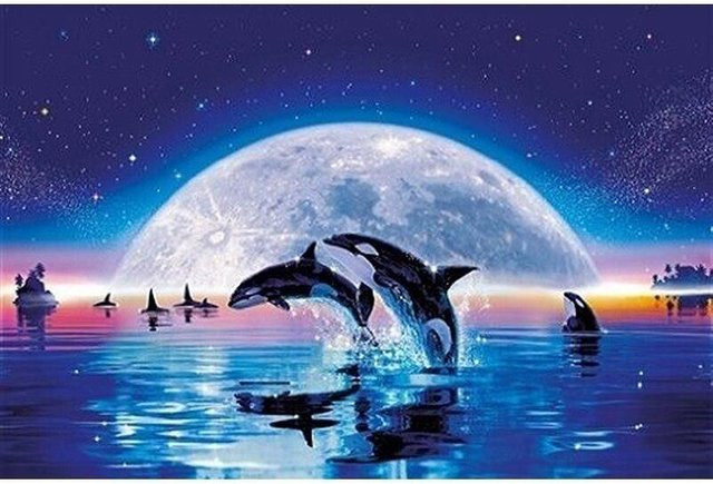 FIYO Diamond Painting Set Delfine und großer Mond mit Vollrundbohrern, Breite: 30 cm, Höhe: 40 cm - Bild 1