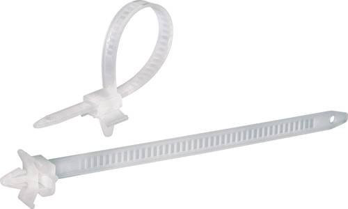 TRU Components Kabelbinder mit Spreizanker, Natur, 100 Stück, Länge: 150 mm, Breite: 7,90 mm - Bild 1