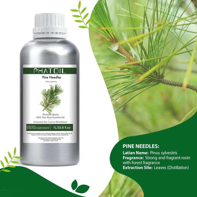 PHATOIL Ätherische Öle Pine Needles, 1000 ml, Unisex - Bild 1