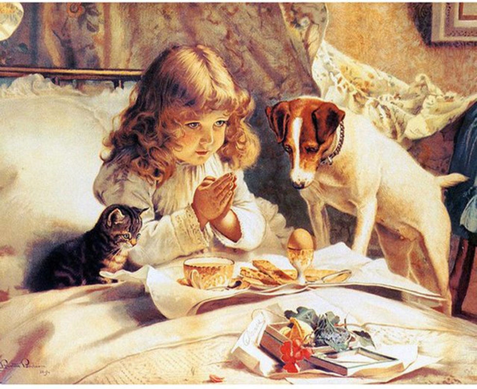 FIYO Diamond Painting Set mit Tierporträt und Mädchen Motiv, mehrfarbig, B/H: 30 x 20 cm - Bild 1