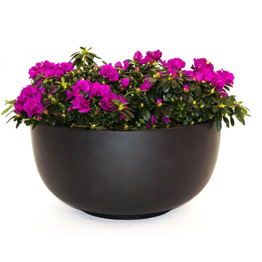 Runder Pflanzkübel aus Fiberglas von Elegant Einrichten in Schwarz Matt, Durchmesser: 60 cm, Höhe: 30 cm - Bild 2