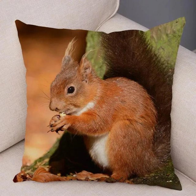 JMG Clothing Kissenbezug mit Eichhörnchenmuster aus Plüsch, braun, B/T: 45 x 45 cm - Bild 1