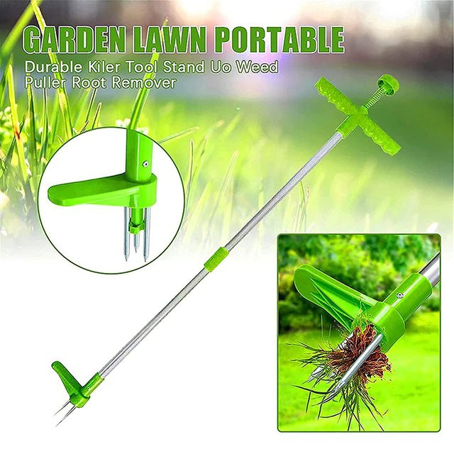 Unkrautentferner mit langem Griff in Grün für Garten und Rasen - Bild 1