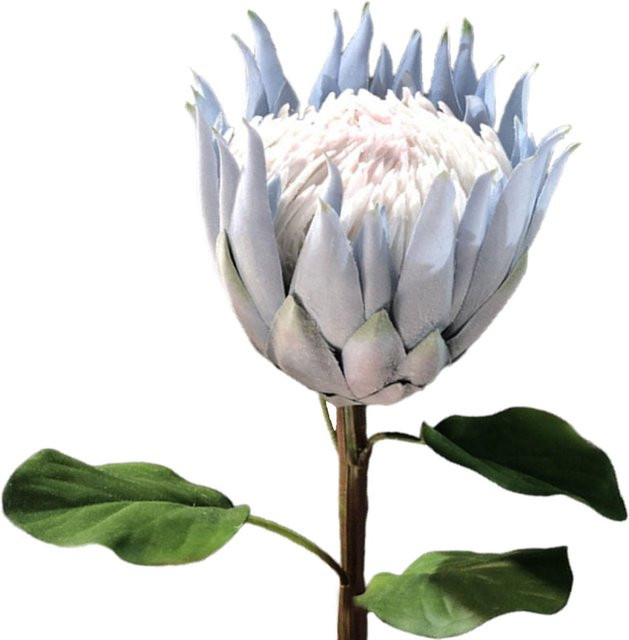 Künstliche Protea Blume Neoglint in Grau als dekorative Kunstblume für Heimdekoration und Hochzeiten - Bild 1